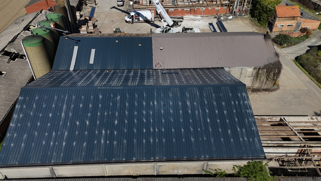 Asbestverwijdering Reningelst